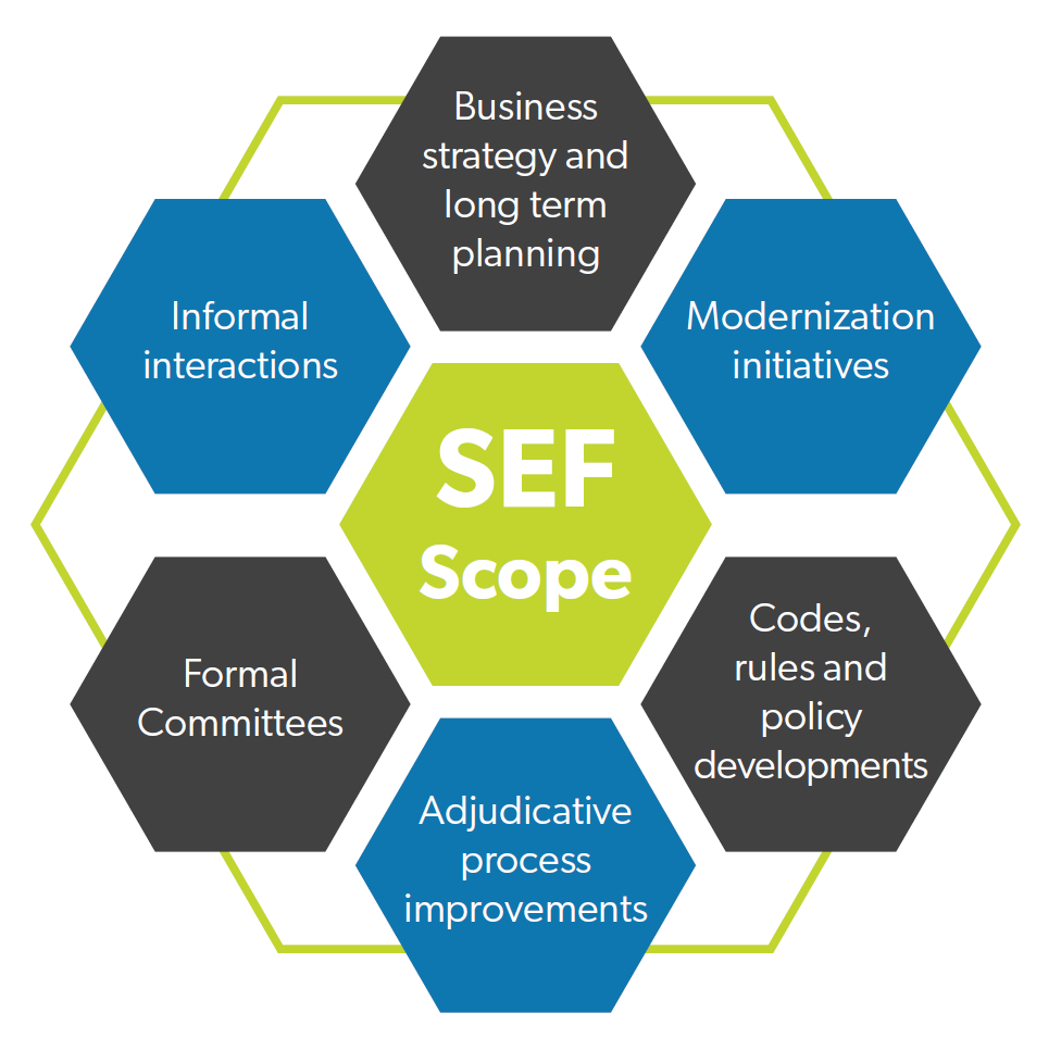SEF Scope: Business strategy and long term planning. Modernization initiatives. Formal Committees. Codes, rules and policy developments. Adjudicative process improvements. Informal interactions.